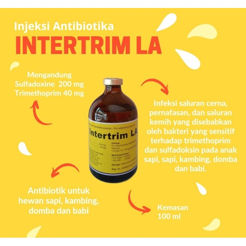 INTERTRIM LA 100ml antibiotik pada hewan ternak (sapi, kambing, domba,  kuda, babi, anjing)