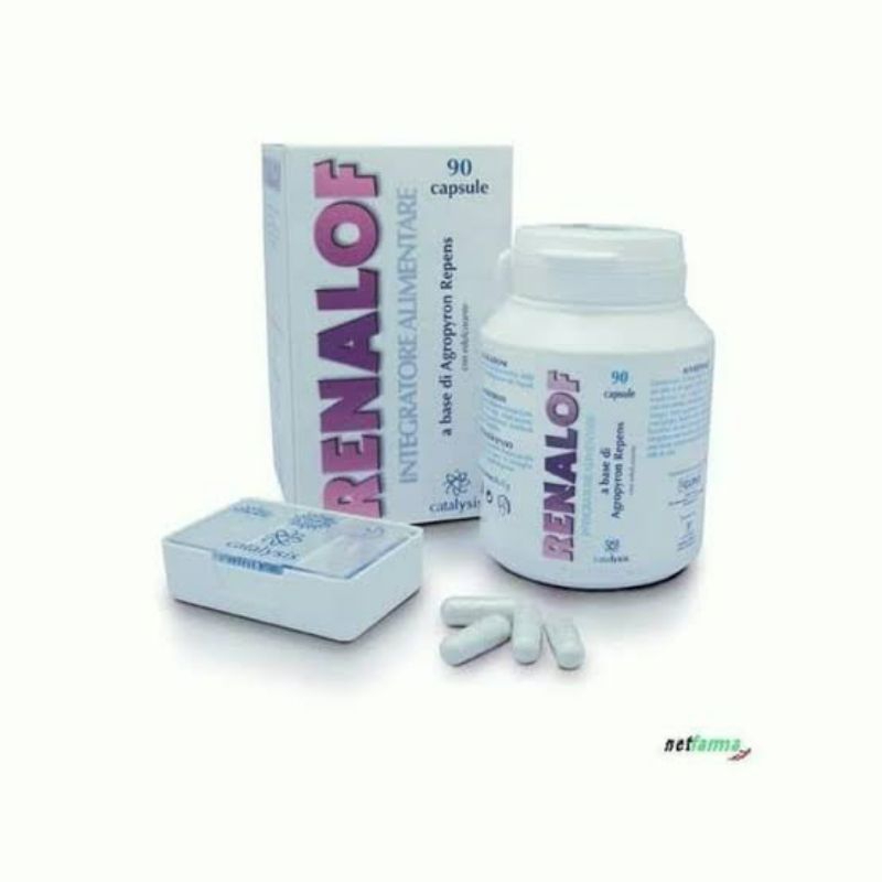 Renalof Harga Perkapsul Ecer