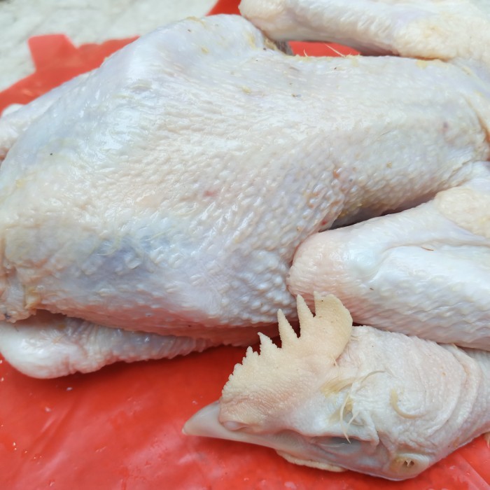 

Ayam pejantan karkas uk 900gr frozen/ayam pejantan murah/ayam pejantan/ayam