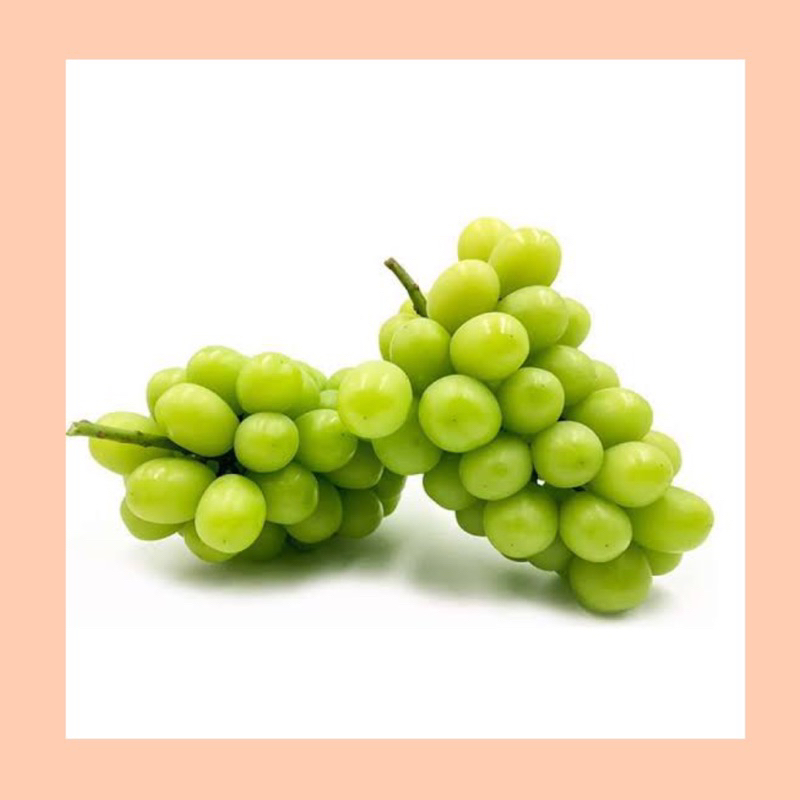 Buah anggur muscat hijau / anggur shine muscat