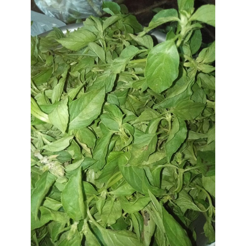 

Kemangi Express/Instan Fresh Seger Eceran Update Setiap Hari