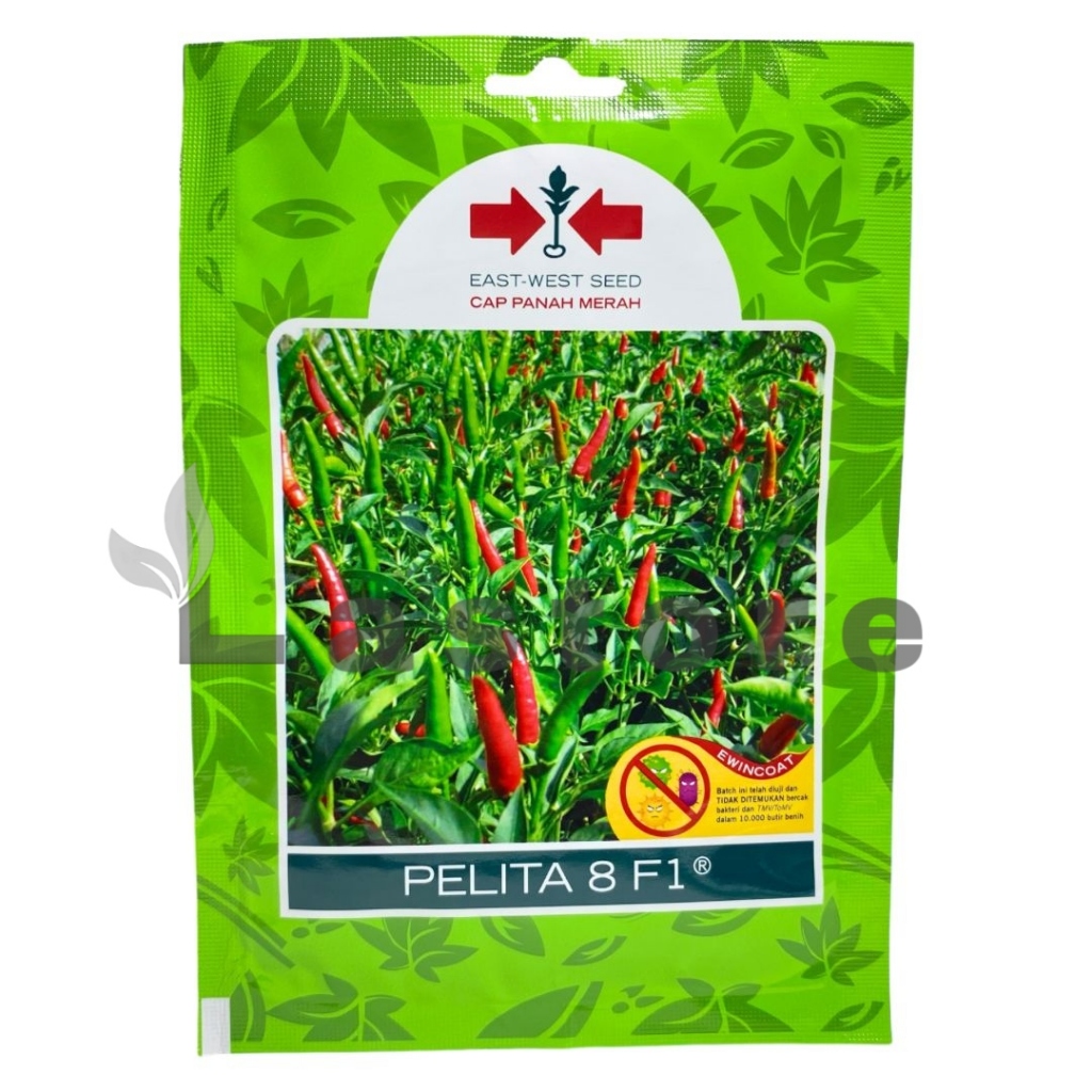 (FreeOngkir) Benih Cabe Cabai Rawit PELITA 8 F1 Isi 350 Butir Cap Panah Merah Termurah Terlaris