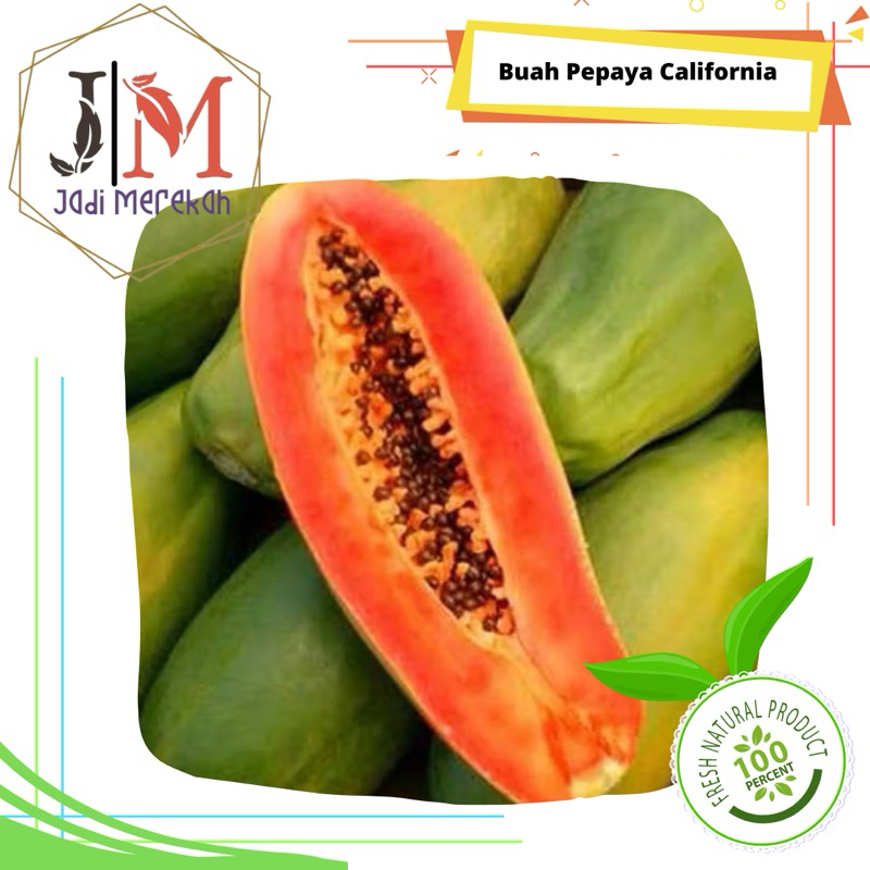 

[JMSofresh] Pepaya California Segar