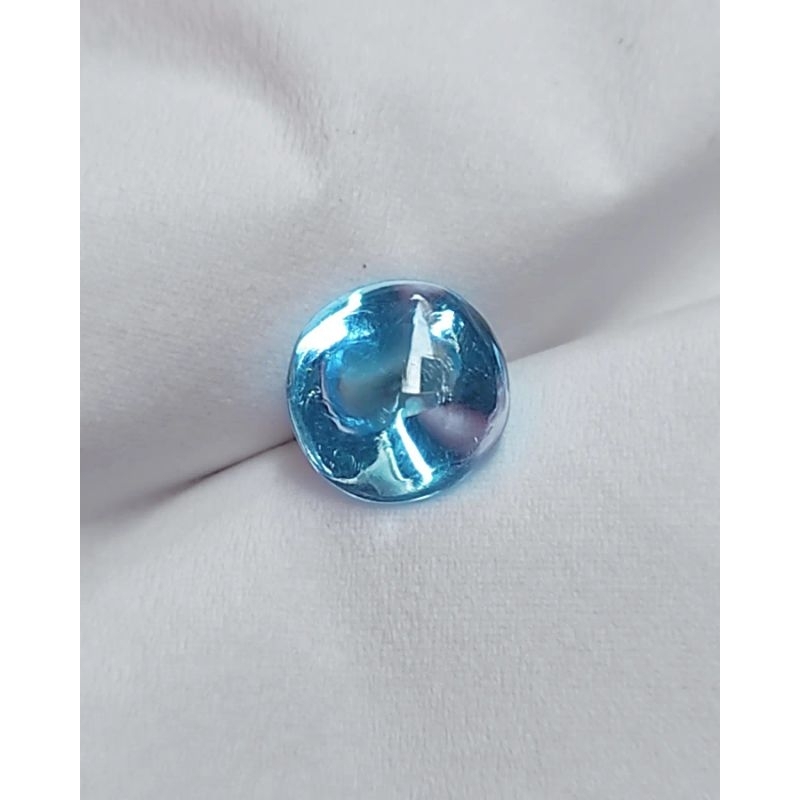 KECUBUNG BIRU LAUT ASLI BORNEO KALIMANTAN