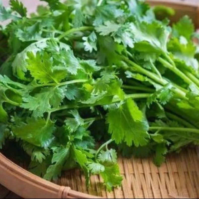 

daun seledri/daun SOP 100grm