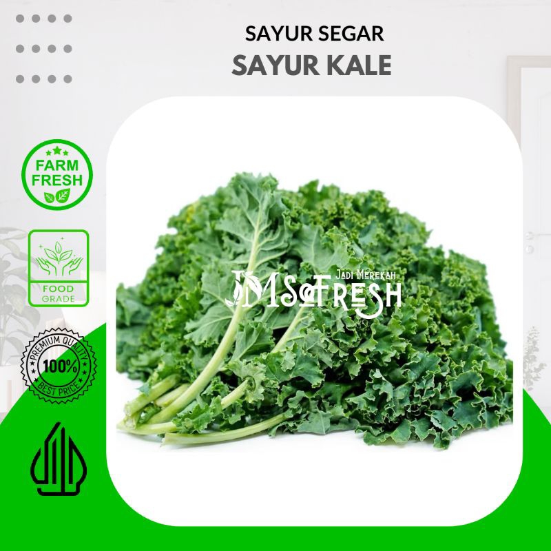 

[JM_Sofresh] Sayur Segar Daun Kale Per Ikat