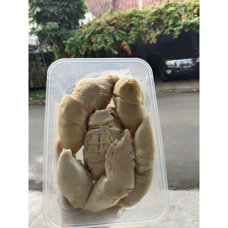 

DUREN KUPAS NIAS MANIS MEDAN