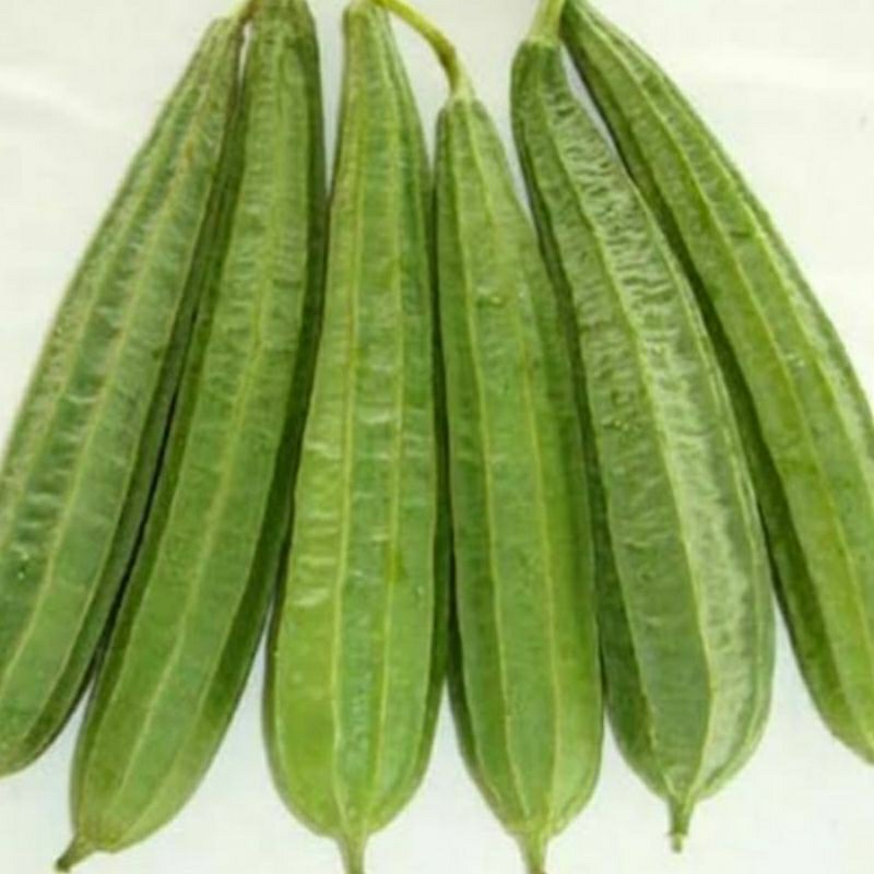 

Sayur gambas per: 500g