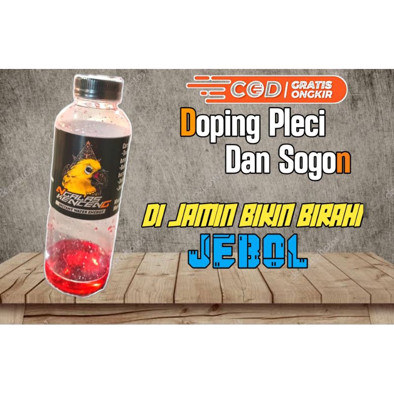 Doping Pleci Agar Buka Paruh, Multivitamin Buat Pleci Anda