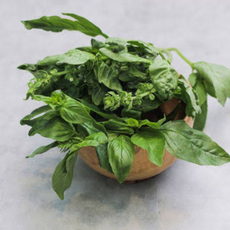 

Daun basil per pack