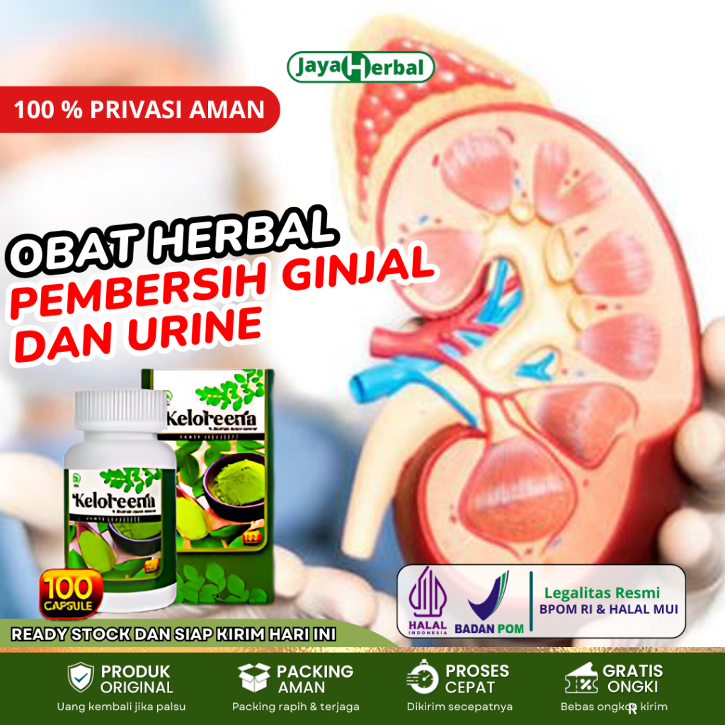 Obat Pembersih Ginjal Dan Urin, Batu Ginjal, Pembersih Saluran Kencing, Urine Berbusa, Pembersih Gin