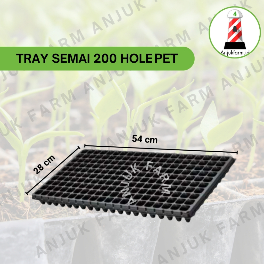 Grosir Tray Semai PET Lubang 32, 50, 72, 105, 128, 162, 200