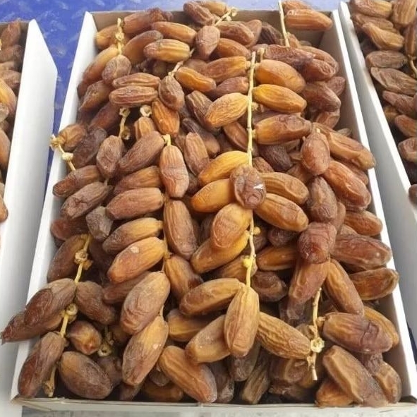 

Kurma tunis 5kg / kurma tunisia tangkai 5kg premium higt quality