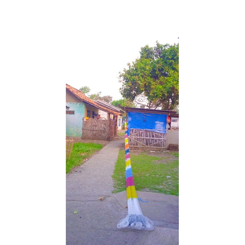 Jala ikan 3jari terpanjang 6meter sangat besar