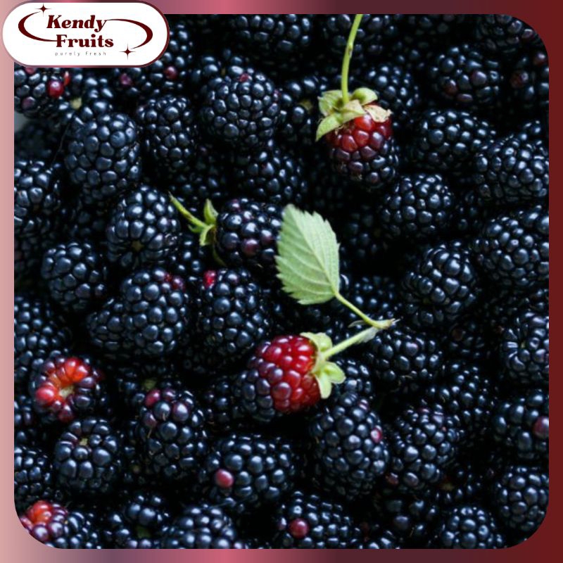 

FROZEN Blackberry 500 Gr | Buah Berry Fresh Frozen