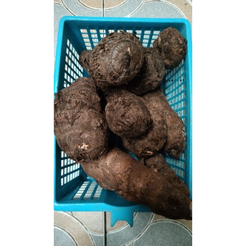 

Talas kimpul/umbi talas pulen organik 1 kg