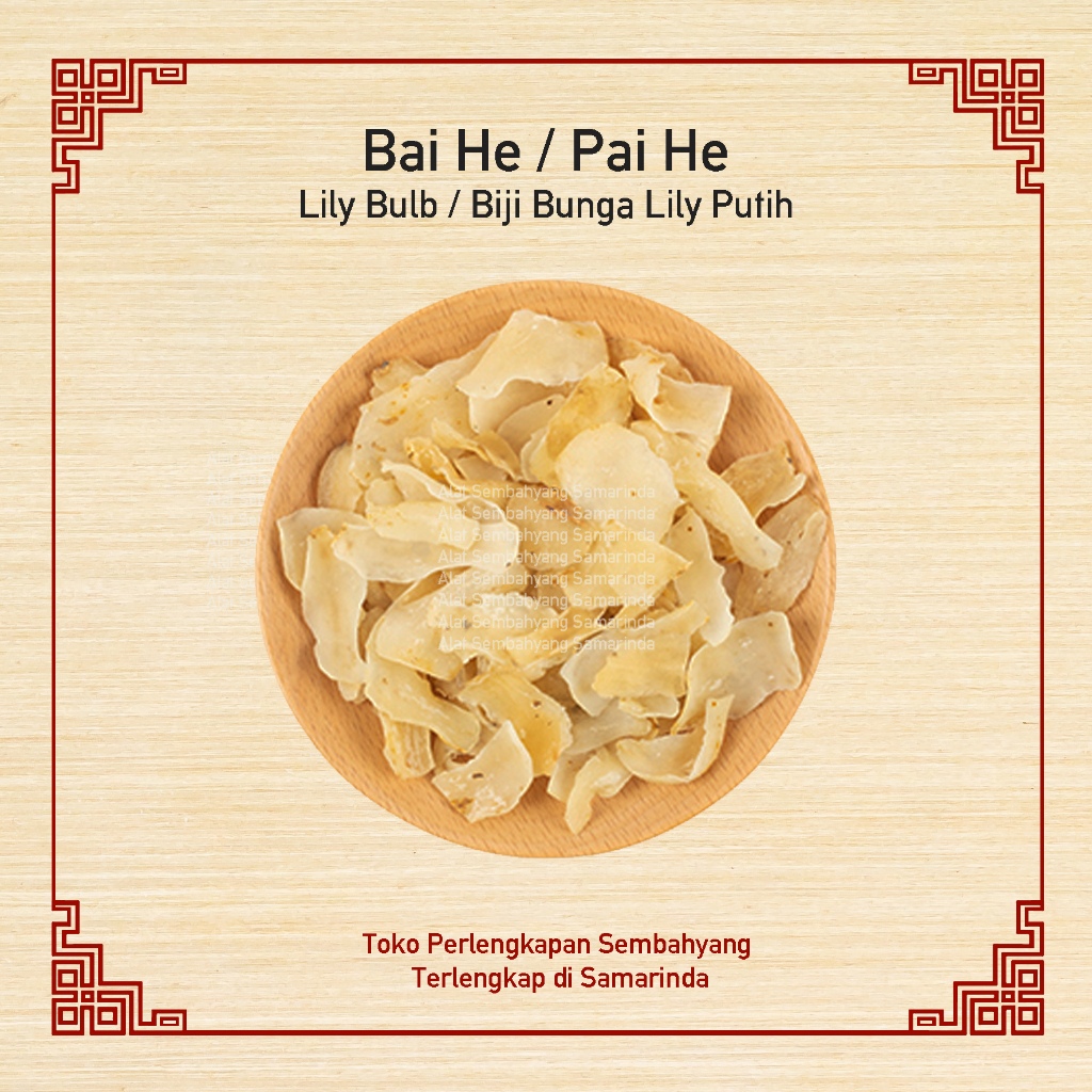 

Bai He / Lily Bulbs / Pai He Premium