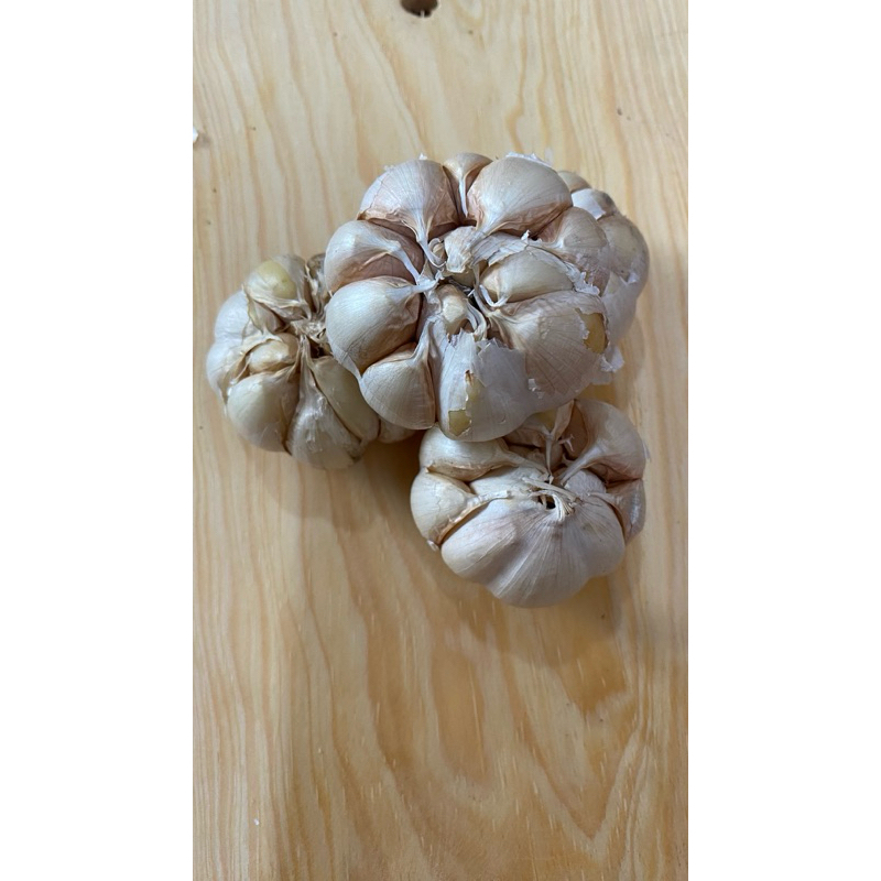

Bawang putih sinco 500 gr atau 1/2 kg