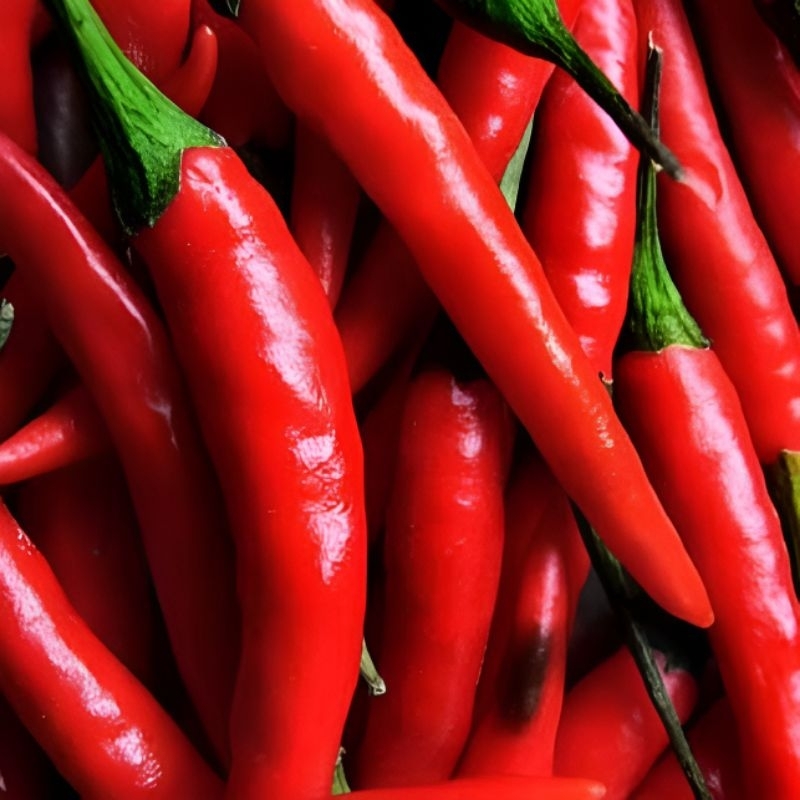 

Cabe merah besar 1 kg - 2 kg
