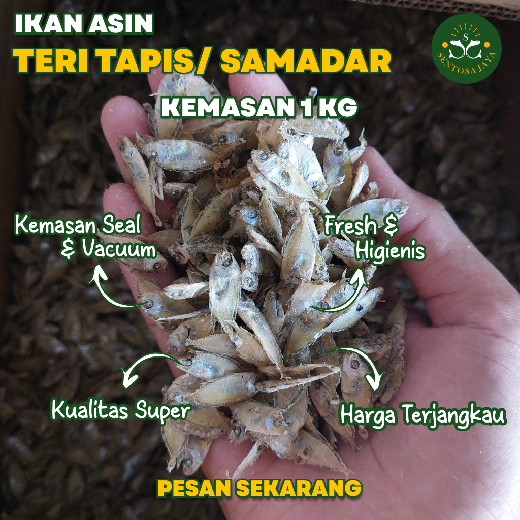 

Ikan Asin Tapis / Bronang / Samadar 1 Kg Ikan Sepat Tapis / Samadar / Bronang