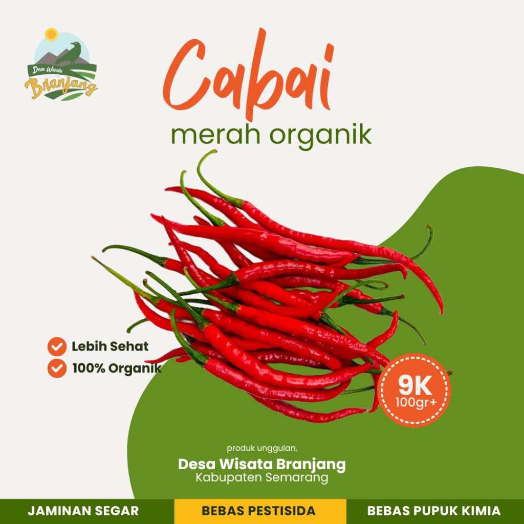 

Cabai Merah Organik 100 Gram +