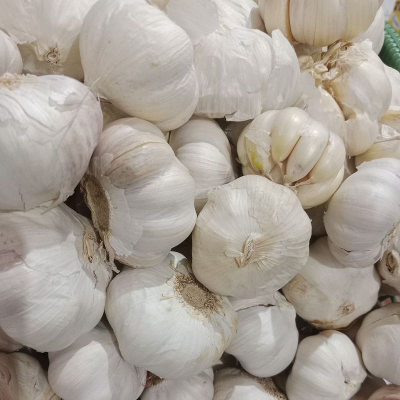 

bawang putih