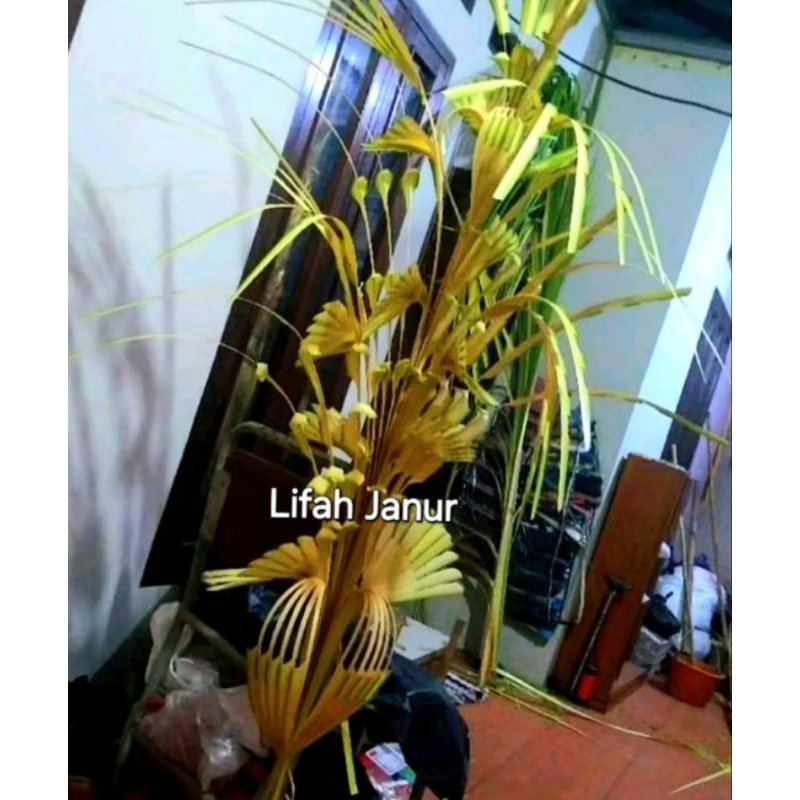 Janur Kecil Love Premium//Janur Pintu/Janur Penanda Jalan