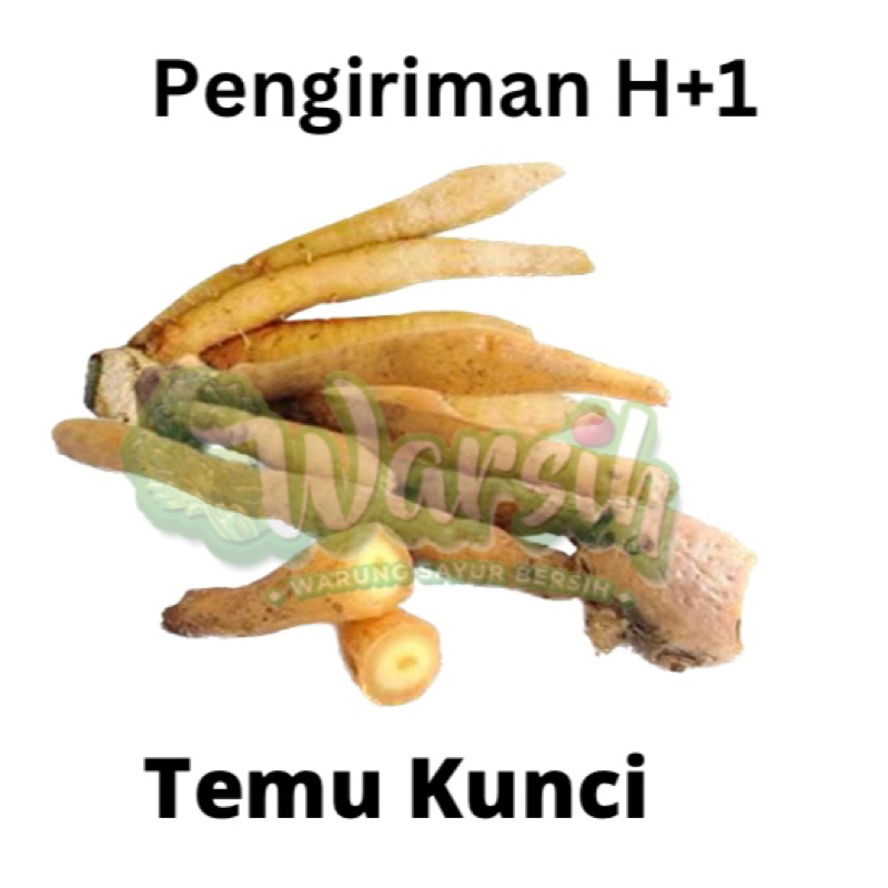 

WARSIH • TEMU KUNCI 100 gr