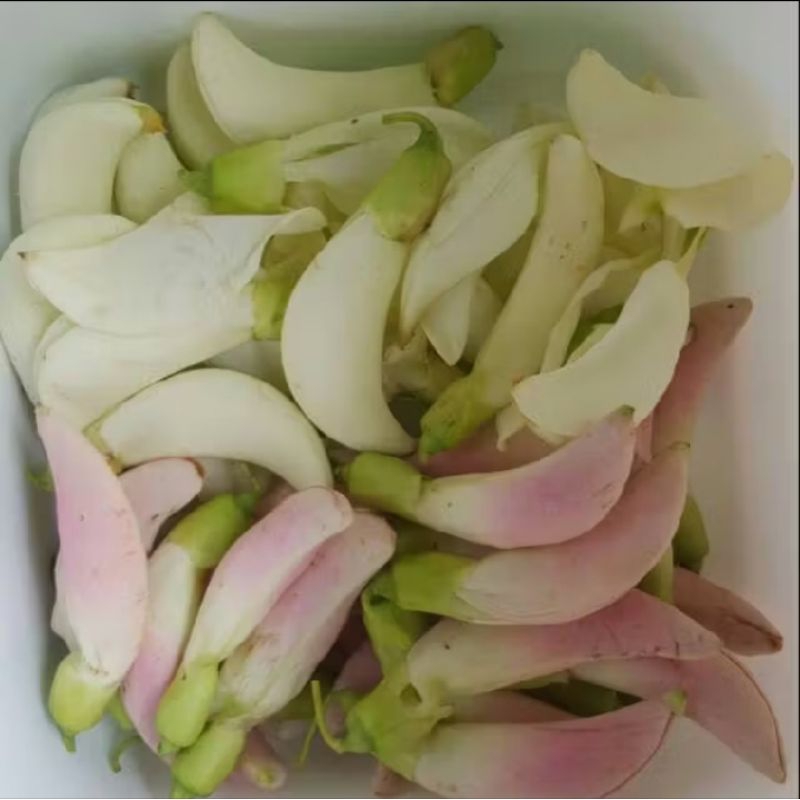 

sayur kembang turi putih