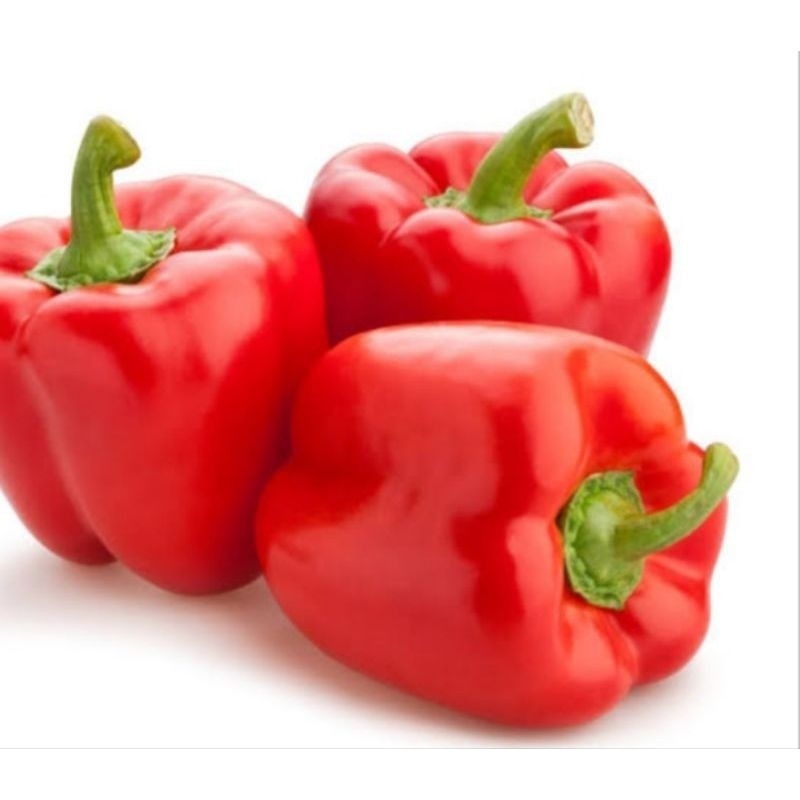 

Paprika merah 1 pcs