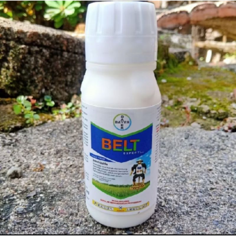 INSEKTISIDA BELT Expert 100ml