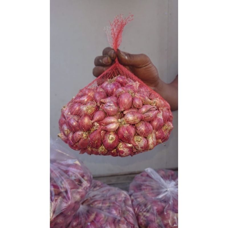 

bawang merah murah