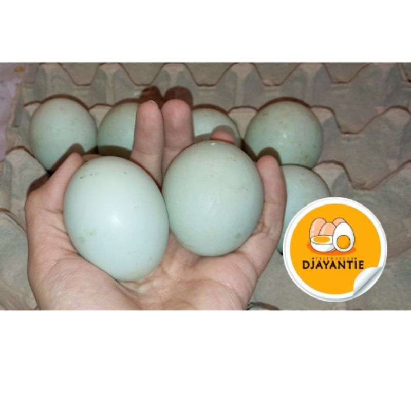 

Telur Bebek Isi 2/pack