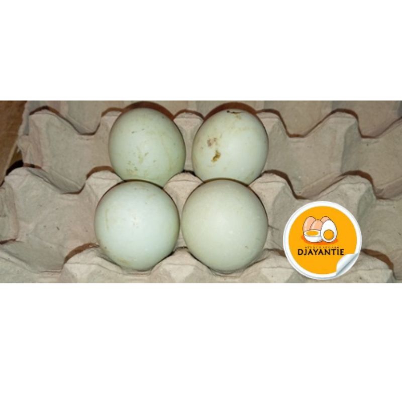 

Telur Bebek Isi 4/pack