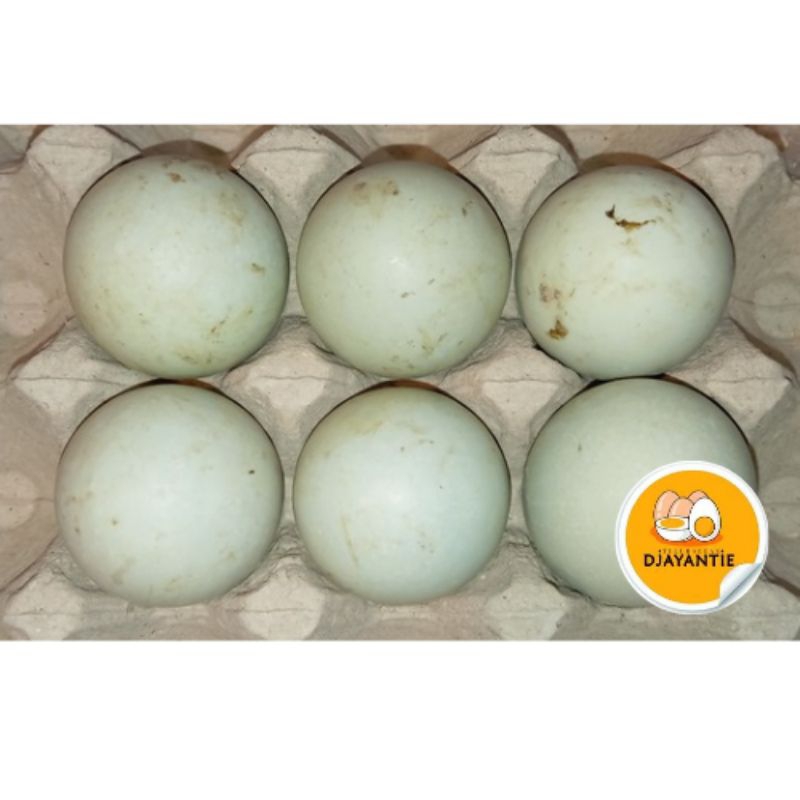 

Telur Bebek Isi 6/Pack