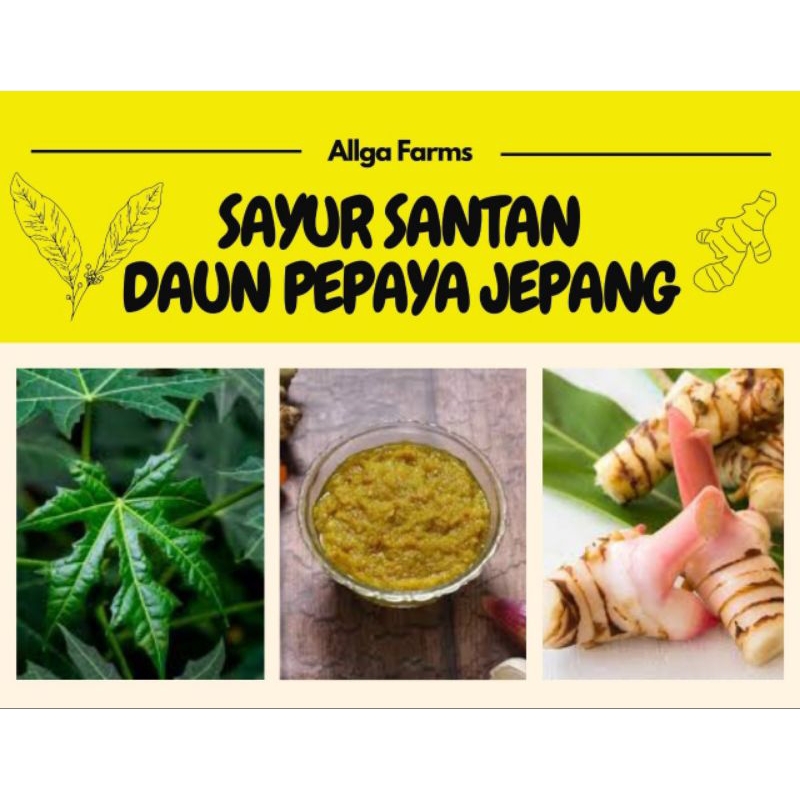 

Sayur Santan Daun Pepaya Jepang