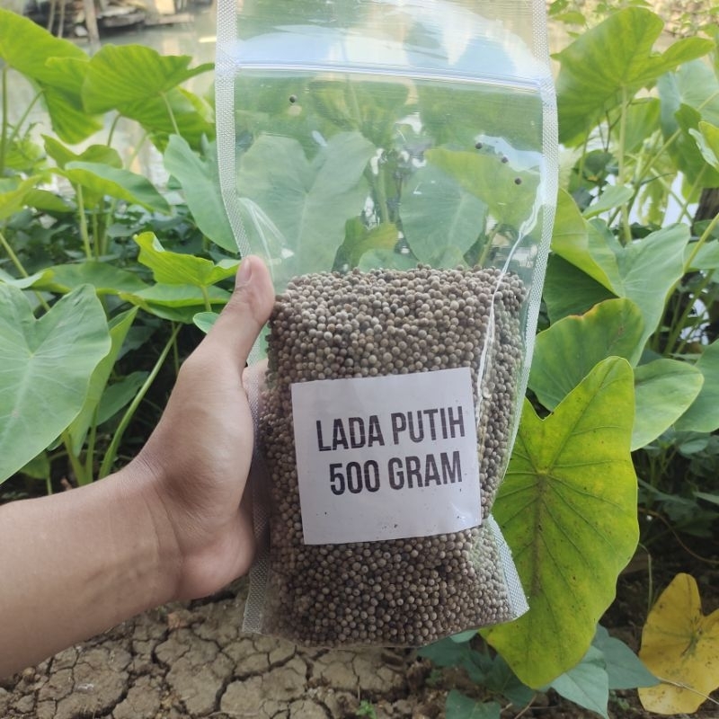 

Lada putih butir 500 gram