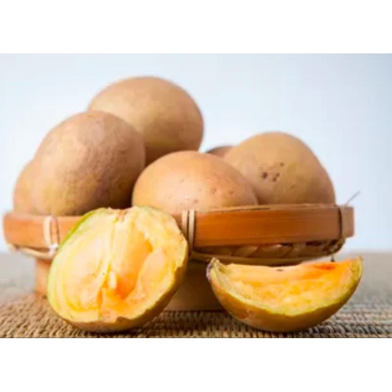 

Sawo Madu Manis Baru Petik 1 Kg Termurah Fresh Segar
