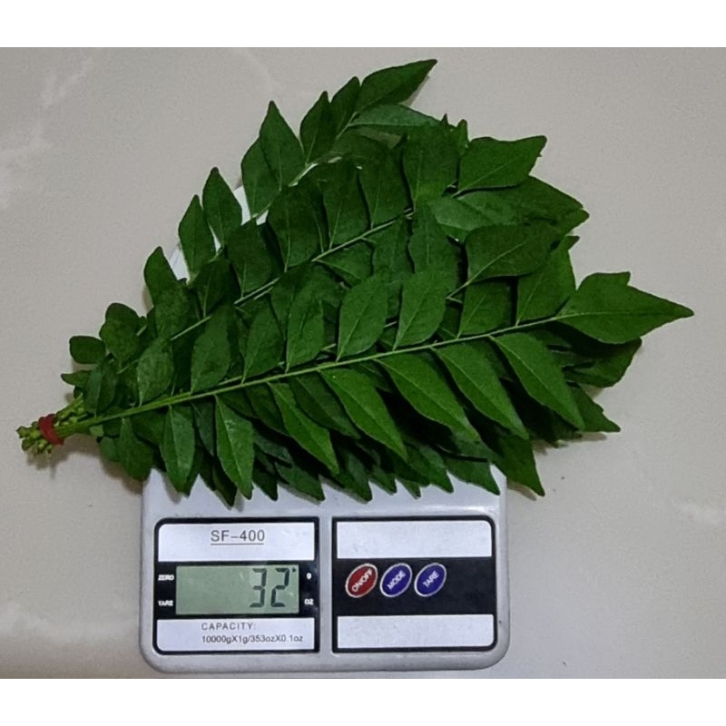 

Daun Kari segar Organik