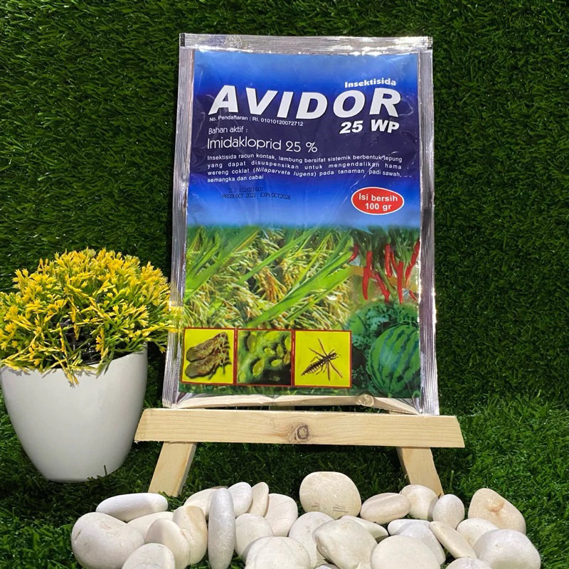 Avidor 25 wp 100gram
