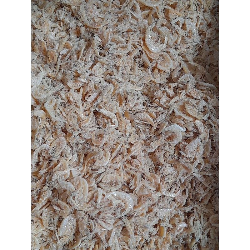 

udang rebon