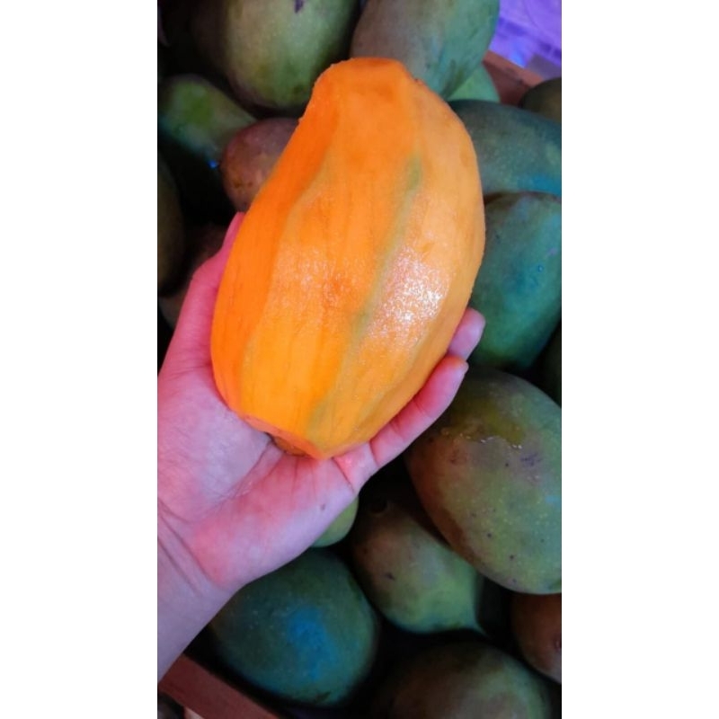 

buah mangga gadung / harum manis 1kg