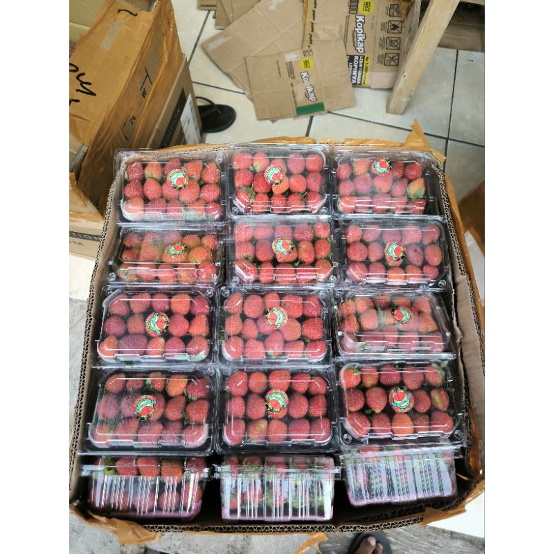

strawberry fresh 250gr - buah segar pengirkman dari depok