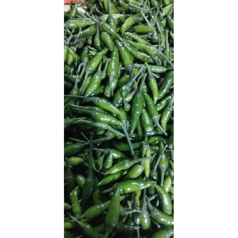 

Cabe rawit hijau 500 gr