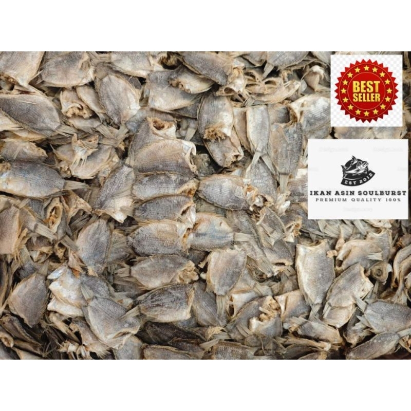 

Ikan Asin Tembakang/Biawan size kecil Kalimantan 250 Gram