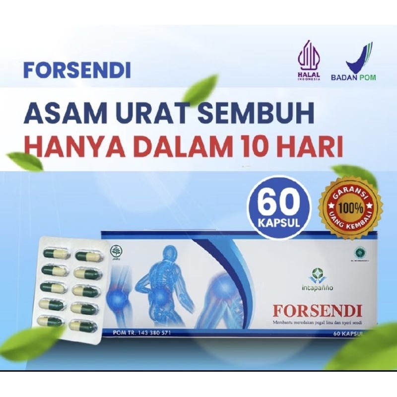 Forsendi rematik asam urat sendi BOK BESAR 60 kapsul