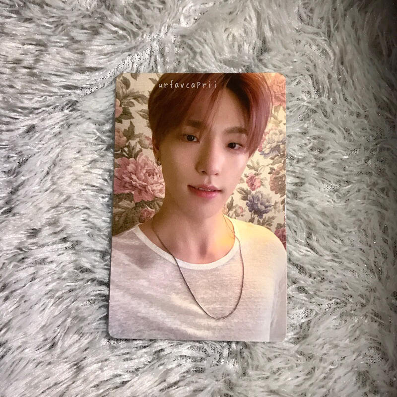 Dino Attacca OP 1 Seventeen