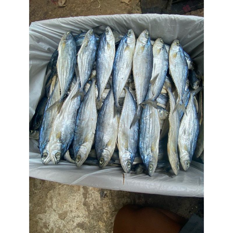 

ikan asin wais kecil super/tenggiri= 250g/500g/1kg best seller