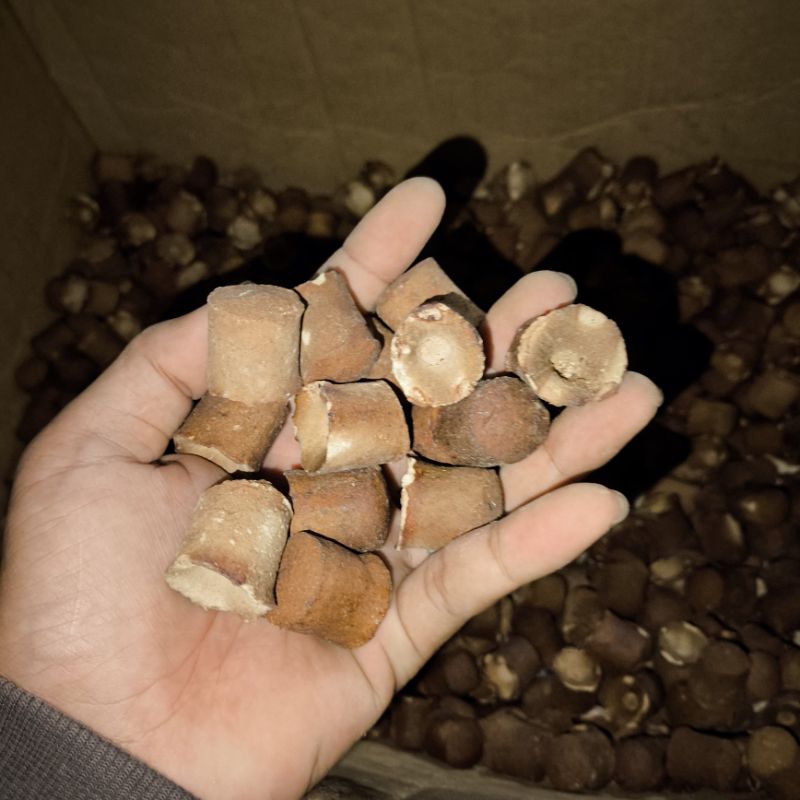 

Gambir Kecil 250 Gram