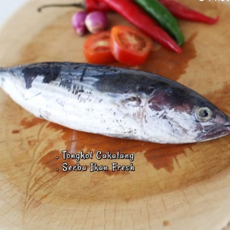 

TONGKOL CAKALANG / DEHO 1kg